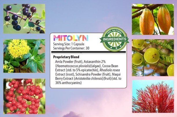 Mitolyn Ingredients